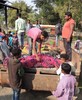 インド北東部アッサム州ゴラガート県で、密造酒を飲んで亡くなったとみられる人々の遺体（2019年2月22日撮影）。(c)AFP