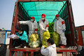 中国中部・湖北省武漢で、住民に届ける野菜を配送車から降ろす防護服姿の職員たち（2020年3月5日撮影）。(c)AFP