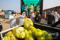 中国中部・湖北省武漢で、住民に届ける野菜を配送車から降ろす防護服姿の職員たち（2020年3月5日撮影）。(c)AFP