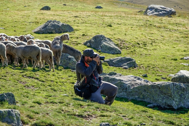 記者コラム アルプスの山を独り占めする羊飼い 写真15枚 国際ニュース Afpbb News