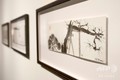 ポーランド・クラクフの日本美術技術博物館マンガ館で開催の作品展「日本のノート」で展示されている故アンジェイ・ワイダ監督のスケッチ（2019年11月20日撮影）。(c)BARTOSZ SIEDLIK / AFP