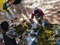 タイ・ナーン県のクンサターン国立公園で、死んだシカの胃から出てきたごみを調べる獣医師ら。 Office of Protected Area Region 13提供（2019年11月25日撮影、26日公開）。(c)AFP PHOTO / Office of Protected Area Region 13