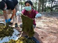 タイ・ナーン県のクンサターン国立公園で、死んだシカの胃から出てきたごみを見せる獣医師。 Office of Protected Area Region 13提供（2019年11月25日撮影、26日公開）。(c)AFP PHOTO / Office of Protected Area Region 13